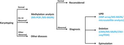 Case report: Prenatal diagnosis of Kagami–Ogata syndrome in a Chinese family